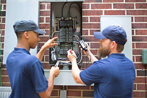 Best Electrical Panel Upgrades  in Hugo, MN